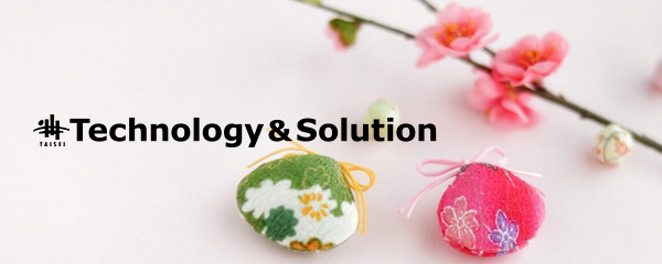 TAISEI Technology&Solution