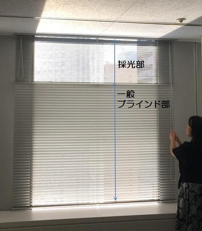 T-Light Blind