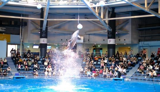 水族館