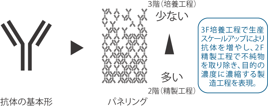 プラント各階の製造段階にあわせて、外装の「抗体」も増えていく