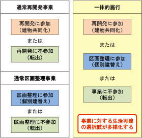 一体的施行に伴う多様な選択肢（モデル図）