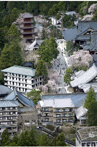 身延の景色