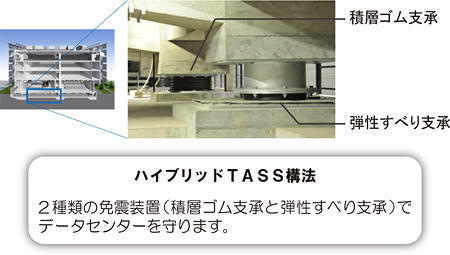 ハイブリッドTASS