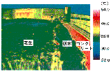 屋上表面温度分布（当社技術センター 1994年7月12日13時）