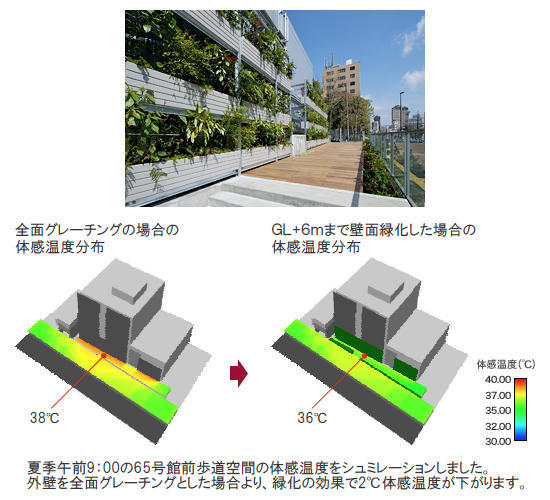 体感温度を測定するシミュレーションを行った結果、壁面緑化の効果により体感温度をおよそ2度下げることに成功しています