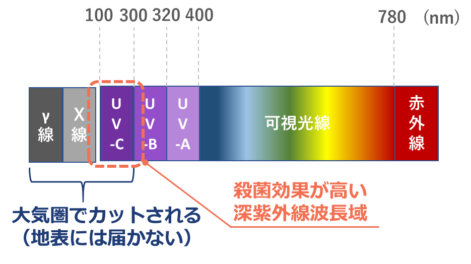 T-LED DUV Light