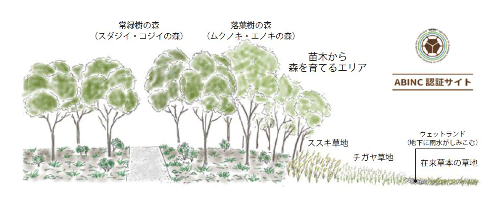 ビオトープエリアの植栽イメージ