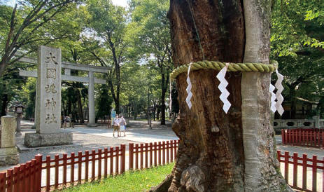 外装のモチーフとなった大国魂神社の紙垂/“Shide” of