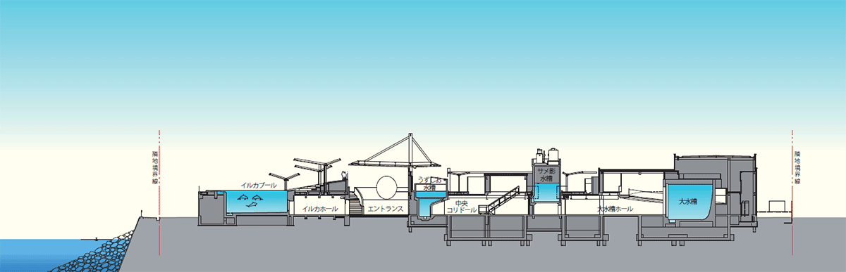 4つのコンクリート製水槽によって緩やかに分けられた大空間