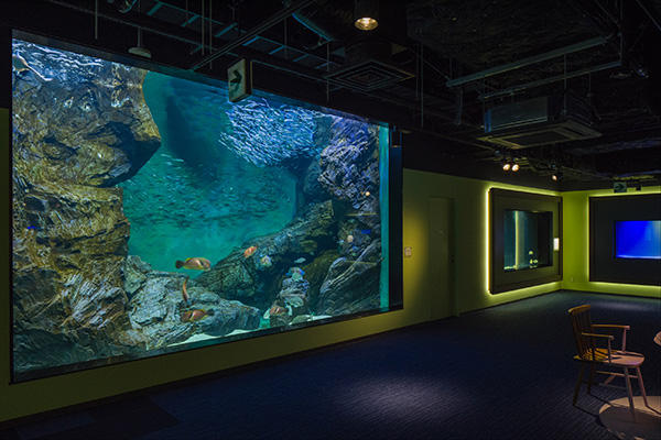 四国水族館の展示