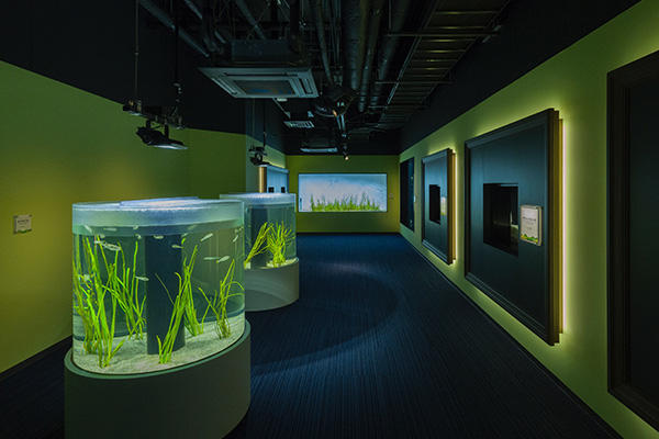 四国水族館の展示